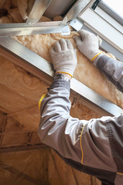 Best Garage Insulation  in Wells, MN